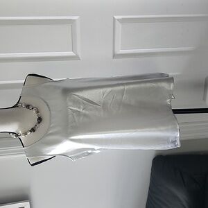 Express Shimmery Silver top, Sleeveless size Medium